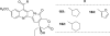 Fig. 21
