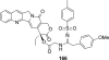 Fig. 24