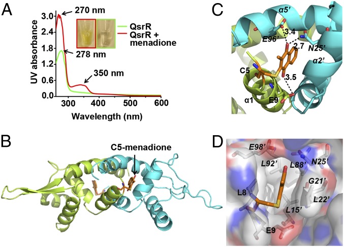 Fig. 4.