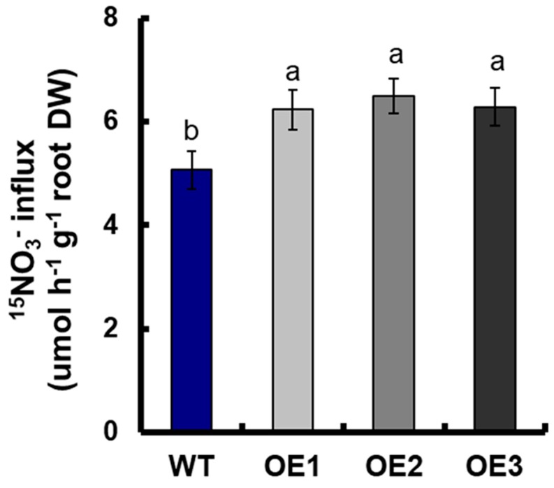 Figure 7