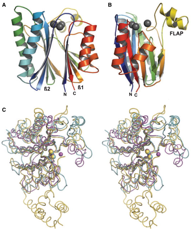 Fig. 1