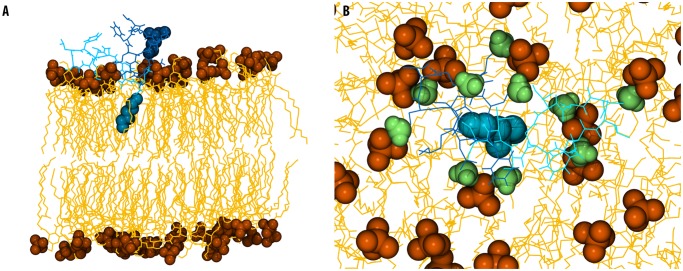 Fig 2