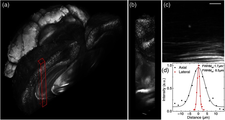 Fig. 6