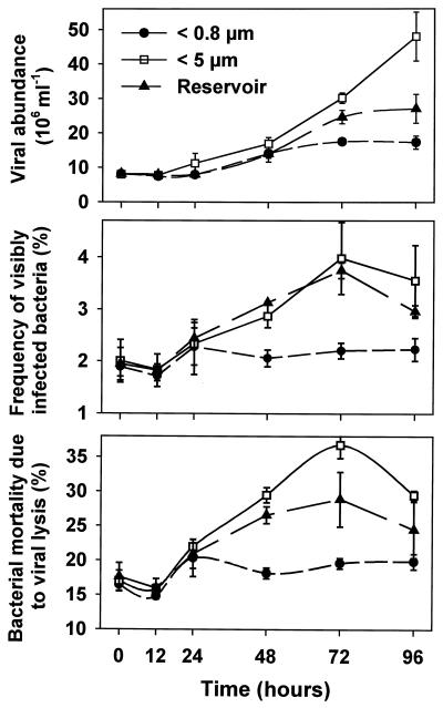 FIG. 6