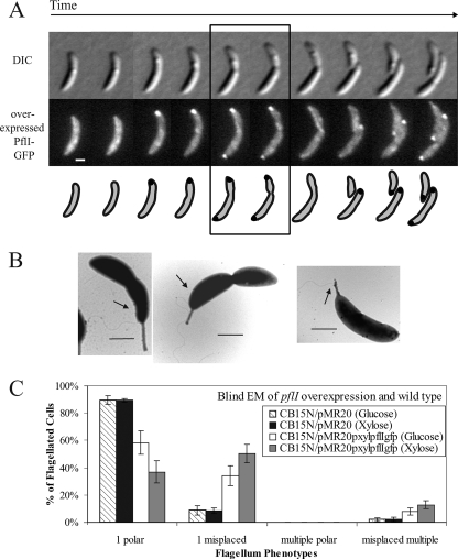 FIG. 5.