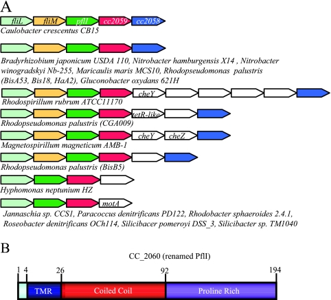 FIG. 2.