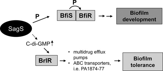 FIG 1 