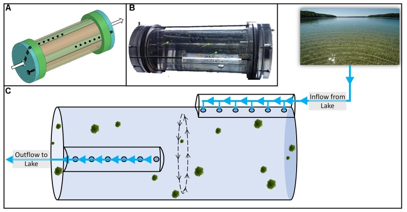 FIGURE 1