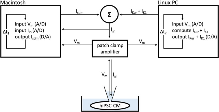 FIGURE 2