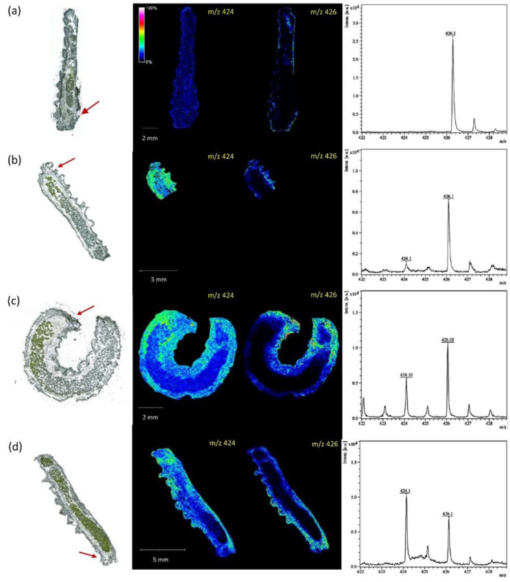 Figure 7