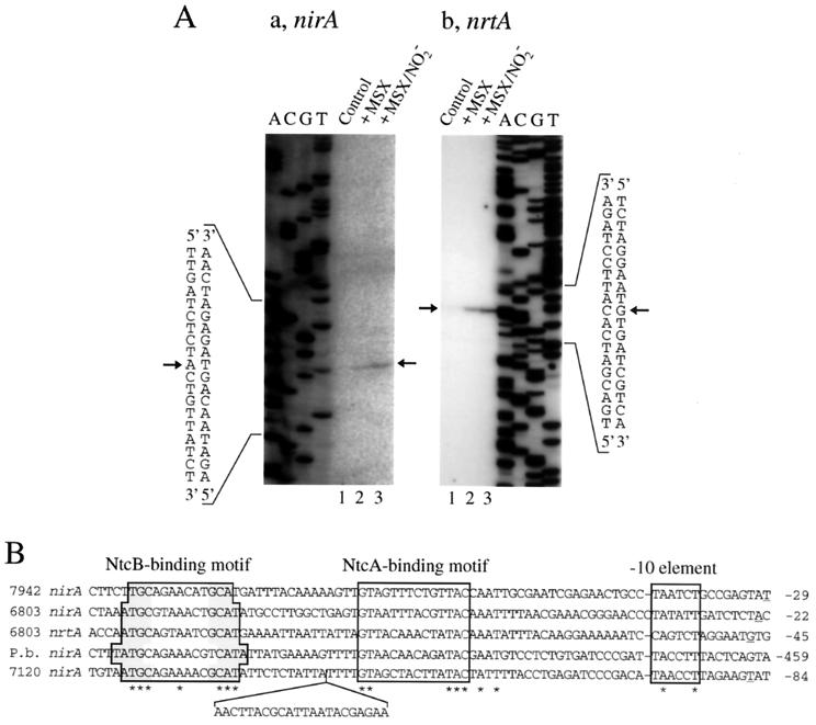 FIG. 6