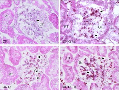 Fig. 8