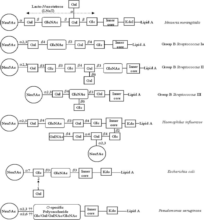 Supplementary Fig. S1