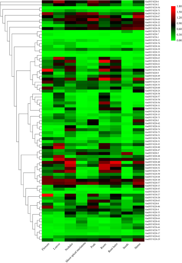 FIGURE 4