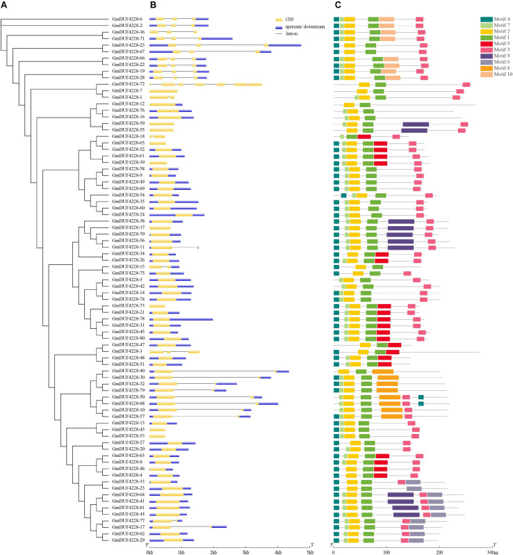 FIGURE 3