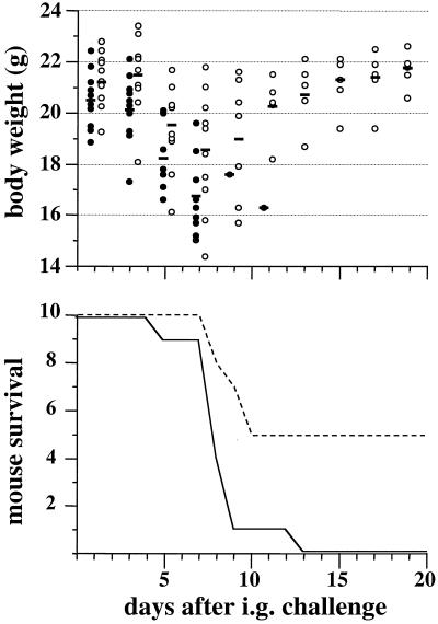 FIG. 5.