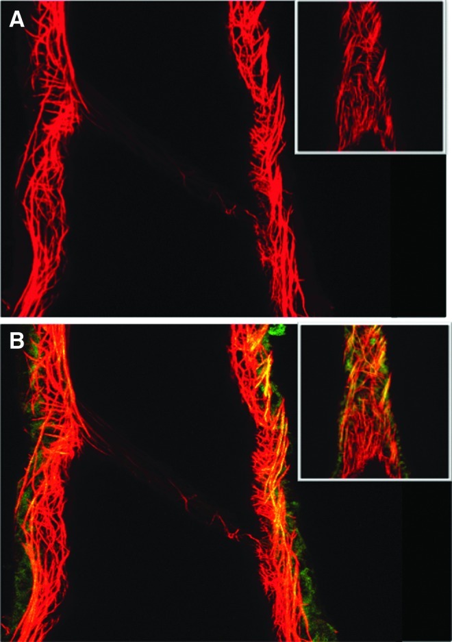 FIG. 9.