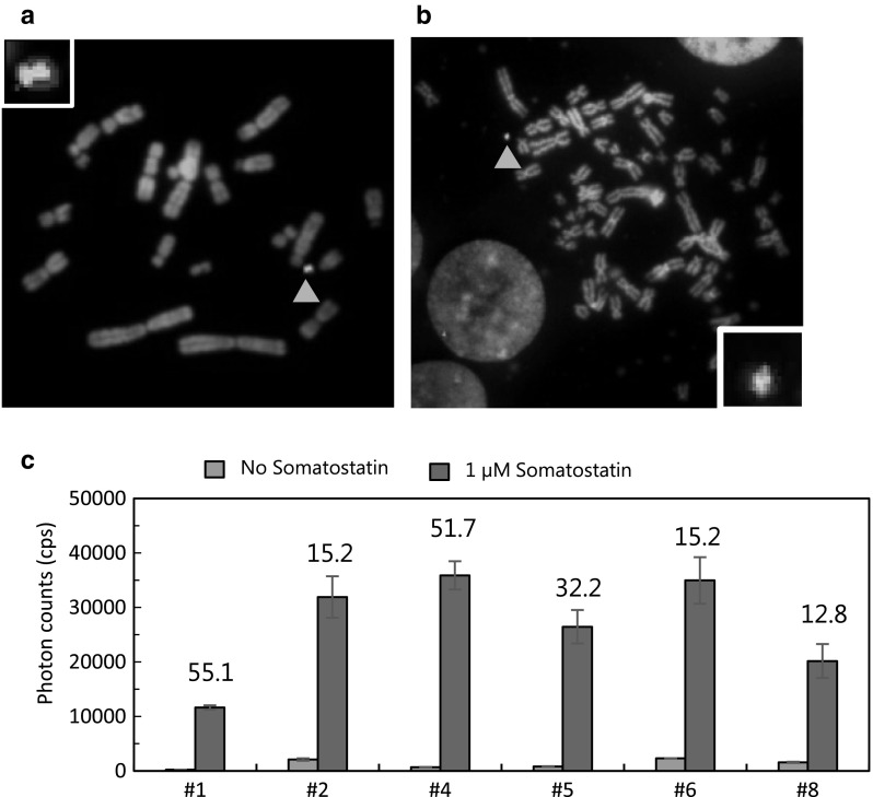 Fig. 2