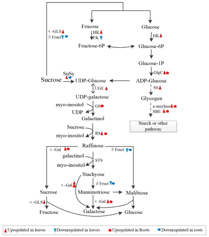 Figure 7