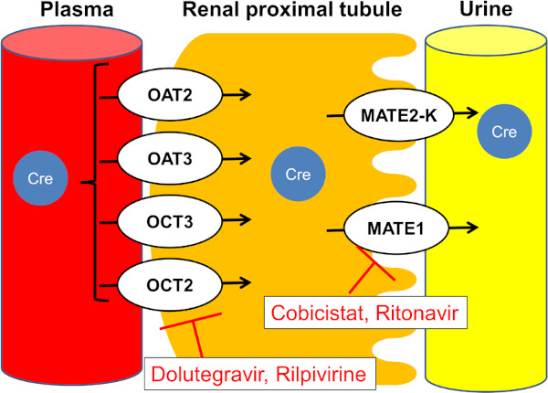 Figure 3.