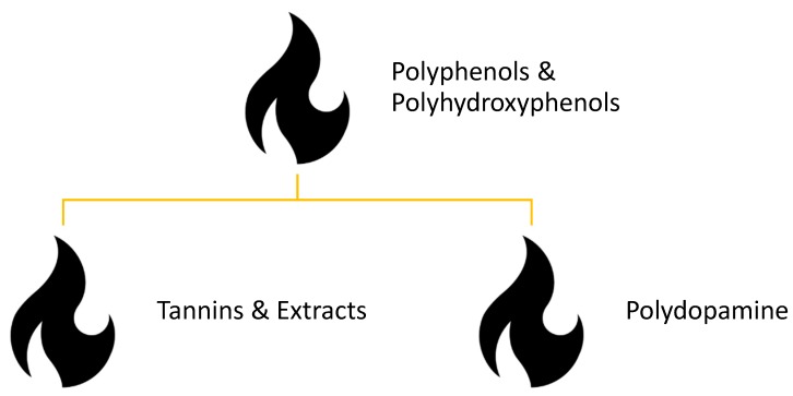 Scheme 5