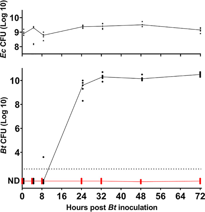 FIG 2