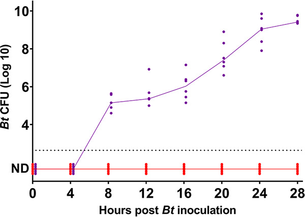 FIG 1