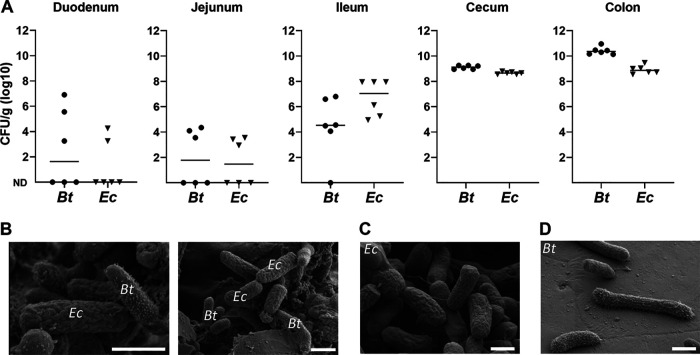 FIG 3