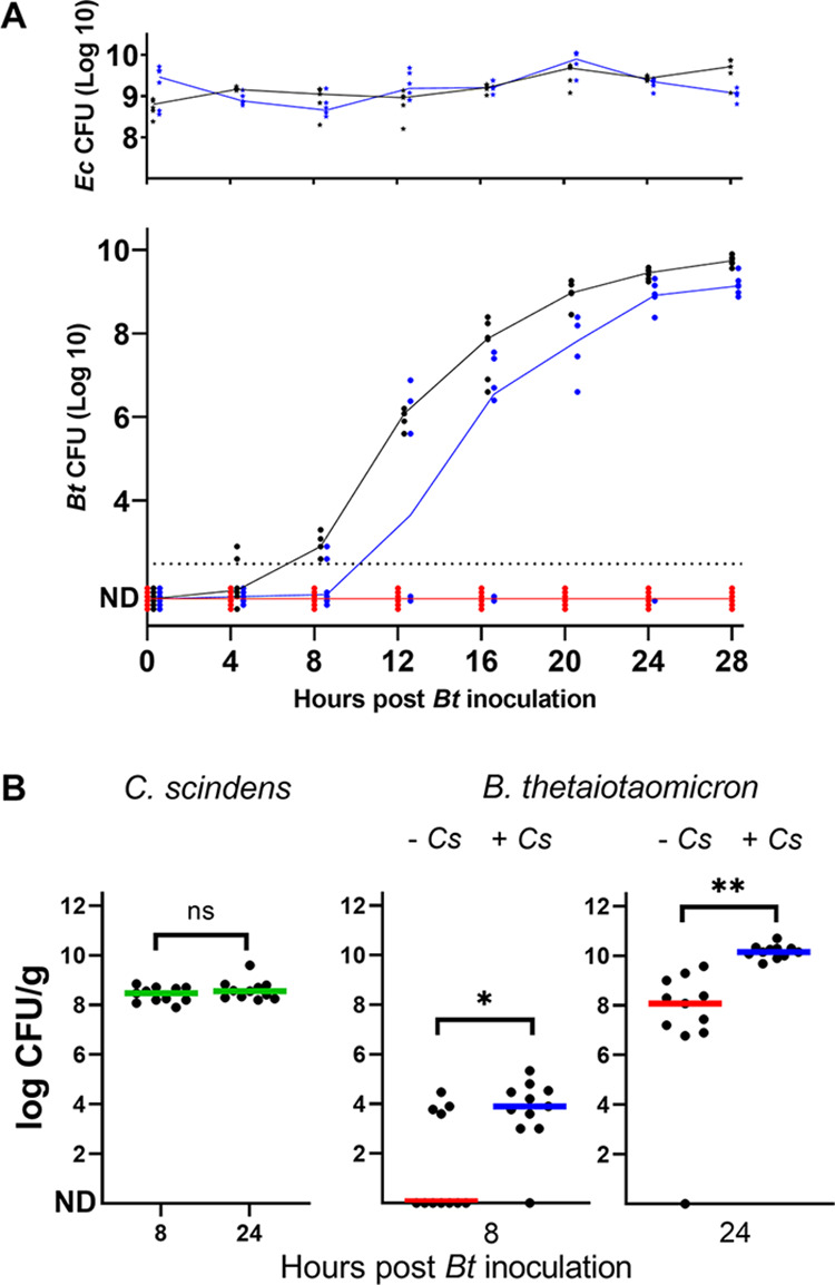 FIG 5