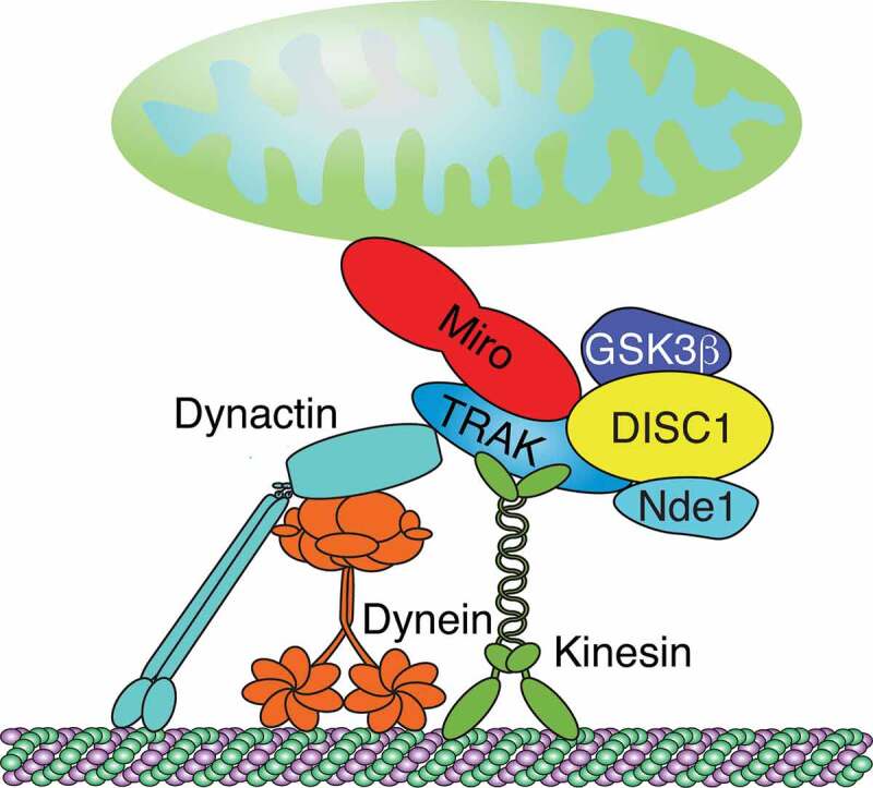 Figure 3.