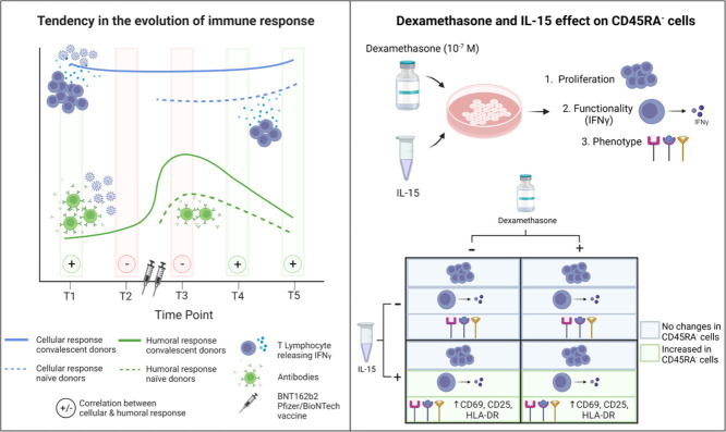 Image, graphical abstract