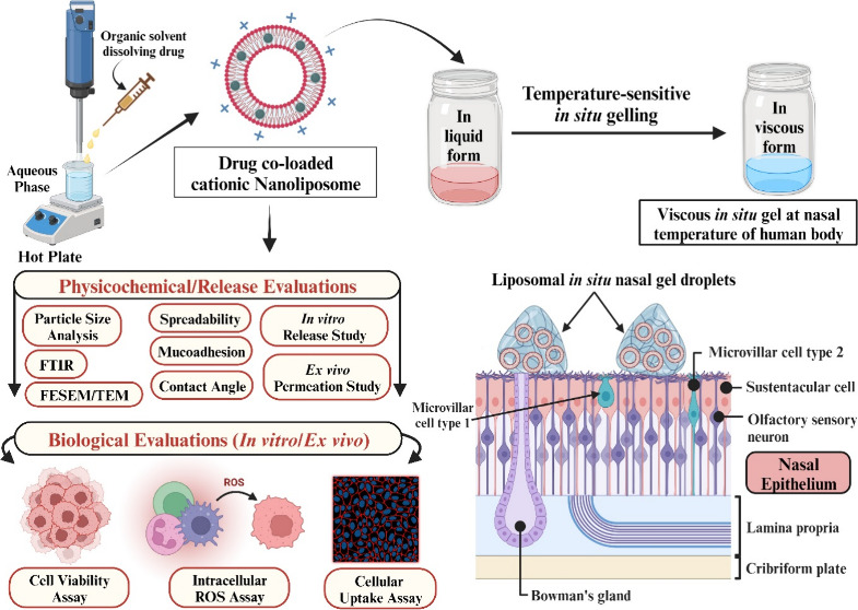 graphic file with name mt4c00102_0014.jpg