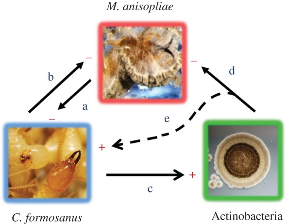 Figure 2.