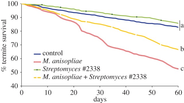 Figure 3.