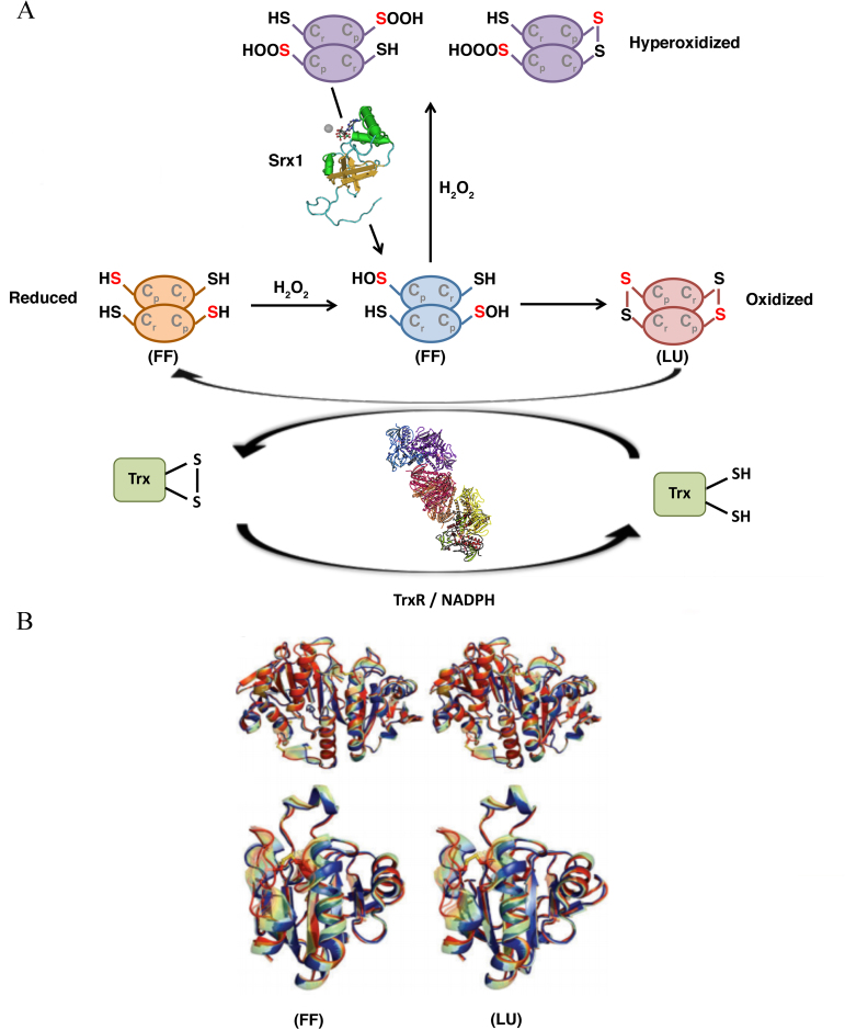 Figure 4.