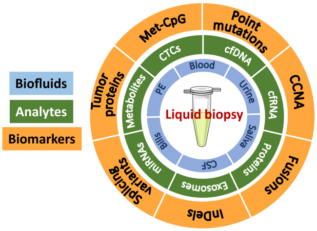 Figure 1: