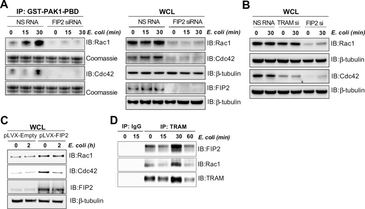 Fig 6