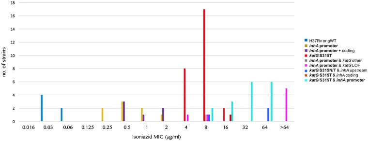 FIG 1