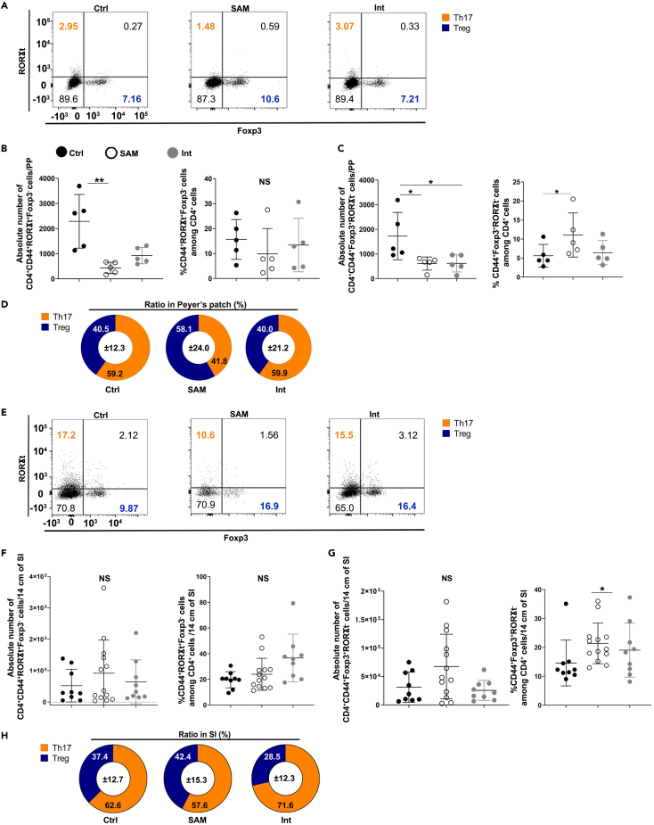 Figure 6
