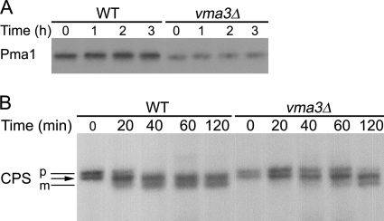 FIGURE 9.