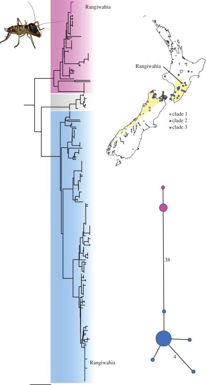 Figure 1.