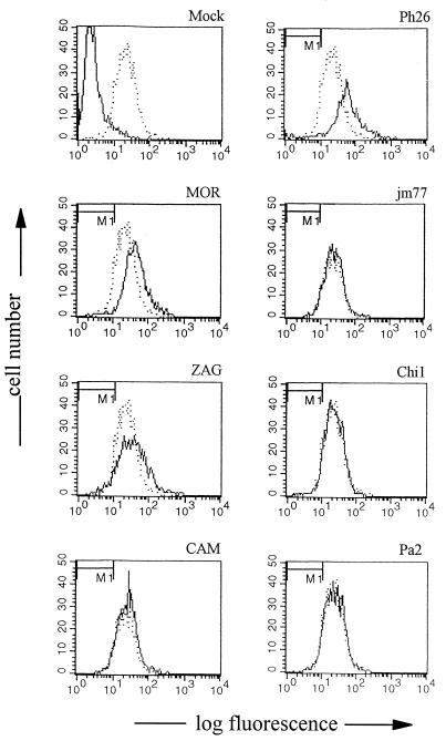FIG. 1