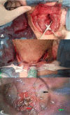 Fig 5