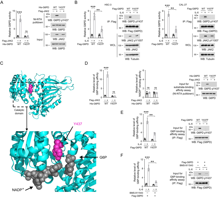 Figure 3