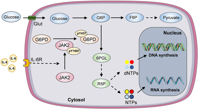 Figure 6