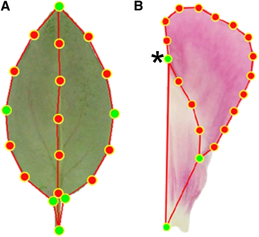 Figure 2.