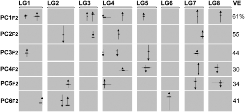 Figure 7.