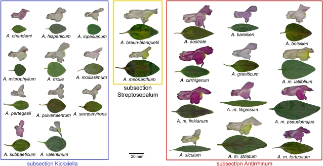 Figure 1.