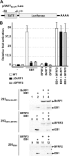 FIG 3