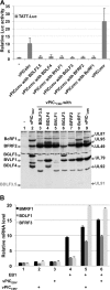 FIG 8